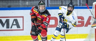 Luleå Hockey/MSSK vände och vann – så var matchen