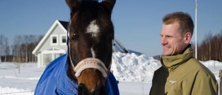 Hästarna tog familjen hem till Norrbotten
