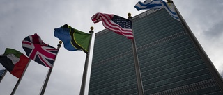 Ökad press på FN inför 77-årsdagen • "FN är som figuren ET, ett stort huvud och smala armar"