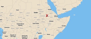 Många döda i attack mot muslimer i Etiopien