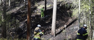 Kortslutning i elledning orsakade skogsbrand 