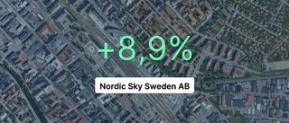 Inget företag i branschen tjänade mer än Nordic Sky Sweden AB i fjol