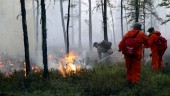 Stora bränder i Sibirien
