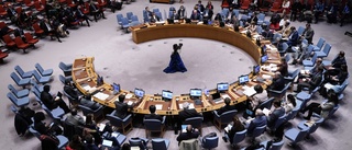 FN:s säkerhetsråd enigt om "fredlig lösning"
