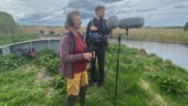 Fågelsång vid Vendelsjön lockar halv miljon radiolyssnare "Det är väldigt meditativt"