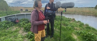 Fågelsång vid Vendelsjön lockar halv miljon radiolyssnare "Det är väldigt meditativt"