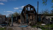 ICC-experter ska utreda krigsbrott i Ukraina