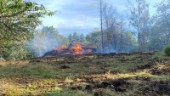18-åring tände eld på gräs – krävs på 700 000 kronor i skadestånd