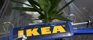 23-årig tjuv döms för upprepade stölder på Ikea