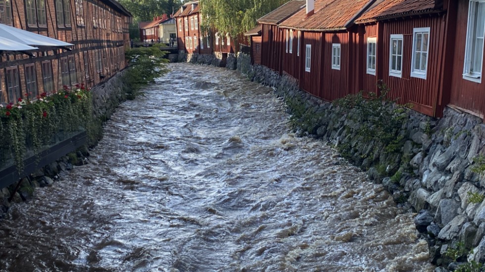 Efter kraftigt regn är vattenståndet i Svartån i centrala Västerås ovanligt högt.