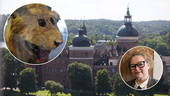 Gripsholms slott – Mariefreds virala stolthet