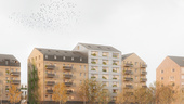 Här ska lägenheter byggas i lera  – Uppsala blir först i Sverige
