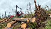 Ny teknik ska hjälpa skogsbolaget att städa upp efter Hans