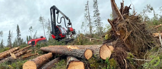 Ny teknik ska hjälpa skogsbolaget att städa upp efter Hans