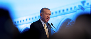 Erdogan: "Har förväntningar" på USA för Nato-ja