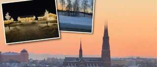 Se läsarnas bilder på de vackra vinterlandskapen i Uppsala