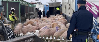 Lastbil med 90 grisar har kört i diket utanför Vadstena