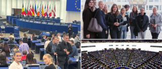 TV: Visbyelevens fråga fick applåder i EU-parlamentet 