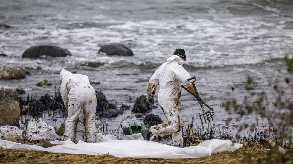 Personal från Kustbevakningen och Sölvesborgs kommun sanerar olja vid naturreservatet Spraglehall utanför Hörvik efter oljeutsläppet.