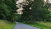 Varför målar man inte kantlinjerna längs trafikerad väg?