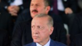 Erdogan: Vi förväntar oss inget av EU