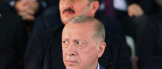 Erdogan: Vi förväntar oss inget av EU