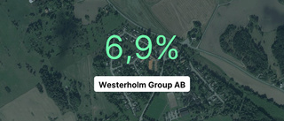 Här är siffrorna som visar hur det gick för Westerholm Group AB under 2022