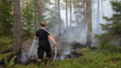 Större skogsbrand bekämpades av räddningstjänsten