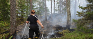 Större skogsbrand bekämpades av räddningstjänsten