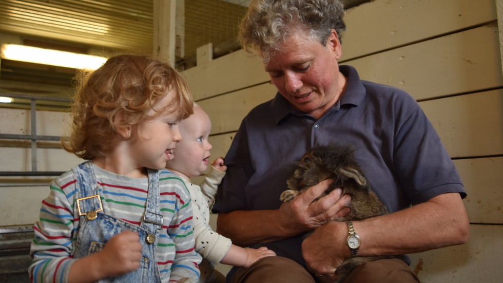 Britt-Marie Lennmans barnbarn Edvin och Amanda hänger ofta med kaninerna när de är på farmors gård. 