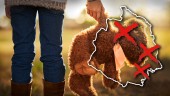Nekade funktionshindrat barn förskola – nu granskas beslutet