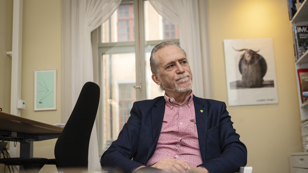 Daniel Helldén, valberedningens förslag till manligt språkrör.