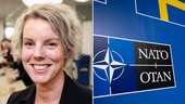 Beskedet: Linköping kan bli nytt tekniknav i Nato