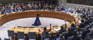 Säkerhetsrådet kräver "humanitära pauser" i Gaza