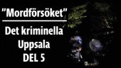 Missa inte den spännande fortsättningen