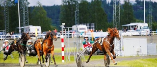 Kungstravet – Nordens största trav-folkfest