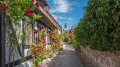 Gotland – en fantastisk plats att besöka året om