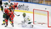 Ikonens son flirtar med Luleå Hockey