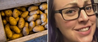 Lever ett helt år på bara potatis