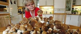 Rekordår för karljohan i svampskogen