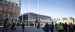 Manifestationen för Ukraina växer – uppemot 200 deltog i Linköping: "Vi måste ha tålamod"