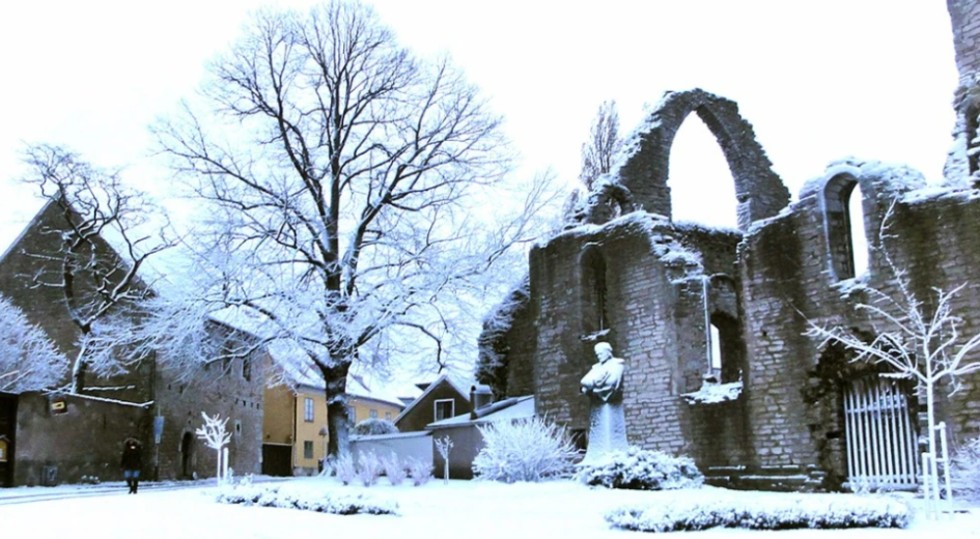 Vinter på Gotland - Drottens ruin 