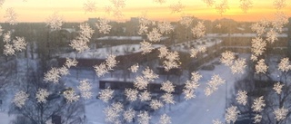 Frissig frost på fönsterrutor i Luleå