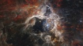 Superteleskop toppar lista över årets genombrott
