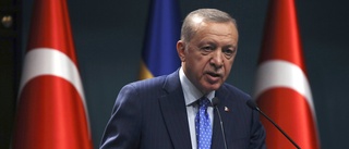 Erdogan: Räkna inte med stöd till Natoansökan