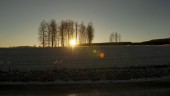 Håll ut – nu kommer solen till Sörmland ✓Temperaturen letar sig uppåt ✓"Friska vindar" ✓Så blir vädret i helgen