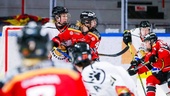 Avslöjar: Forwarden klar för Luleå Hockey