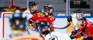 Avslöjar: Forwarden klar för Luleå Hockey