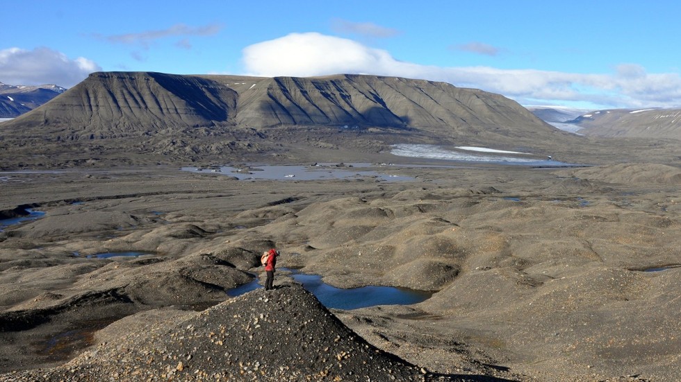 Spetsbergen på Svalbard är fossilrika. Många av fisködlorna har hittats här.
