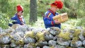 Samiska kvarlevor och föremål återlämnas